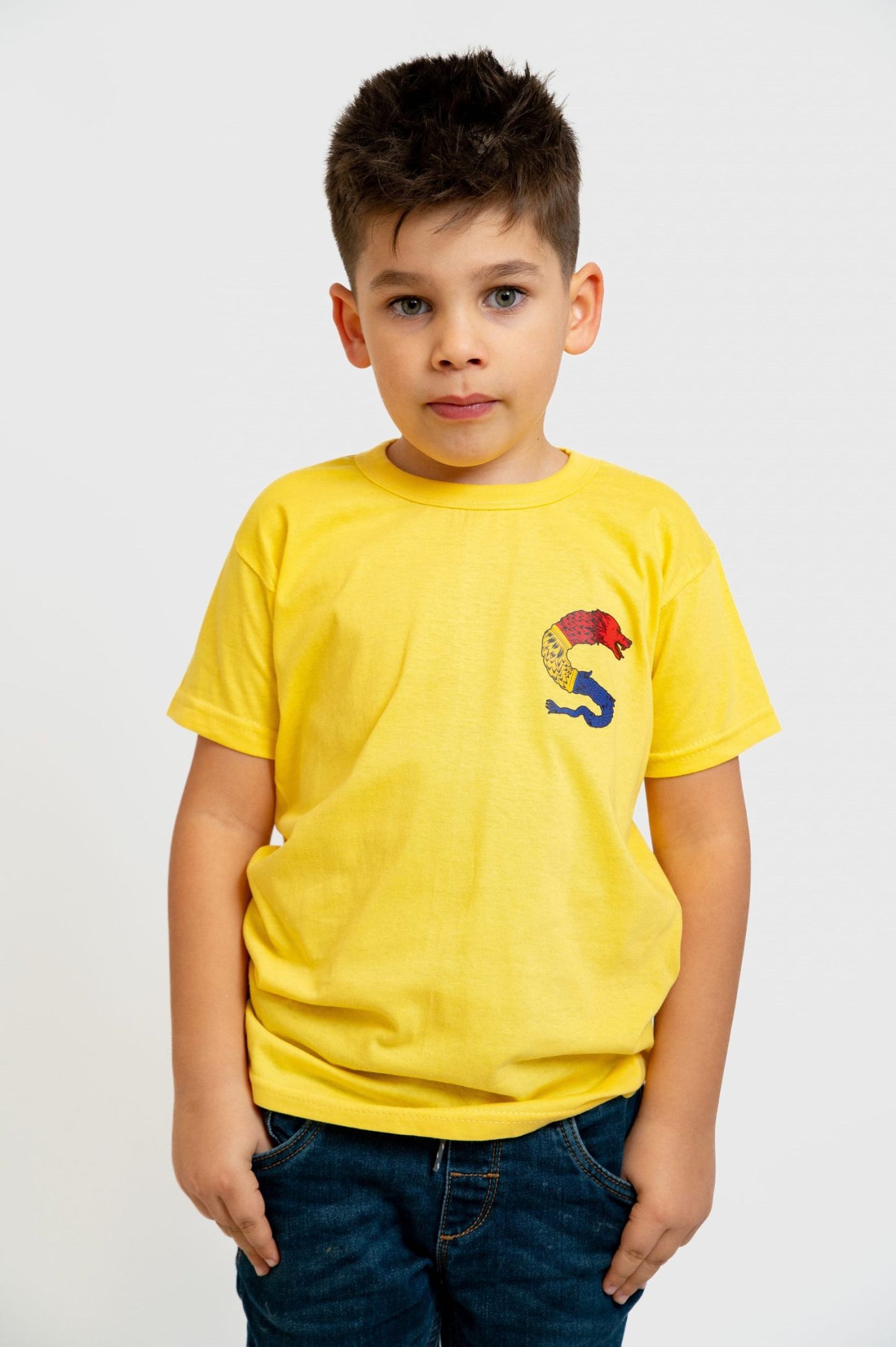 Tricou Traditional - Lupul Dacic - copii